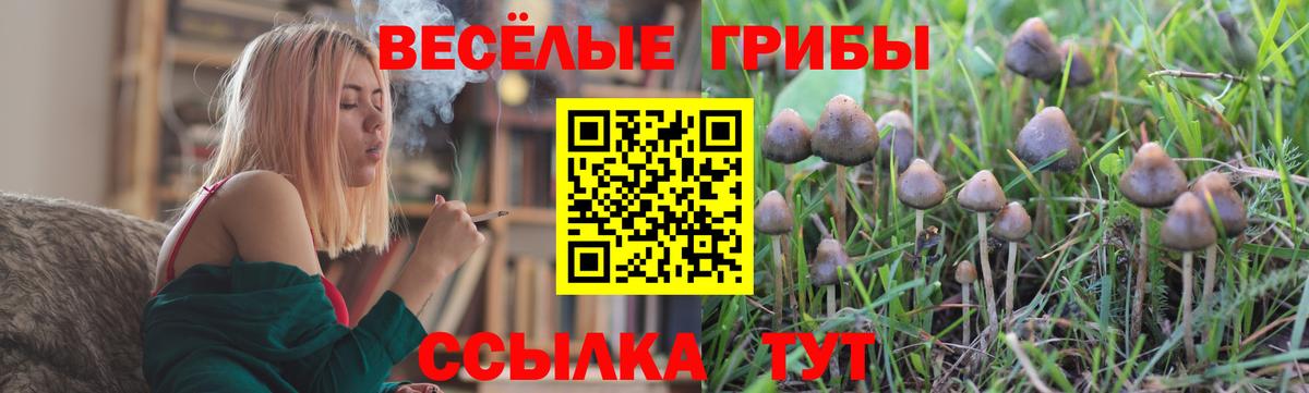 Городец  Галлюциногенные грибы ЛСД  Псилоцибиновые грибы GOLDEN TEACHER  Вход с VPN 